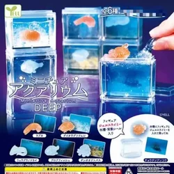 Japan YELL Gashapon Capsule Toys Mini Fish Tank for Marine Creatures Series Figure Model Doll Toys Collect Ornaments Gifts