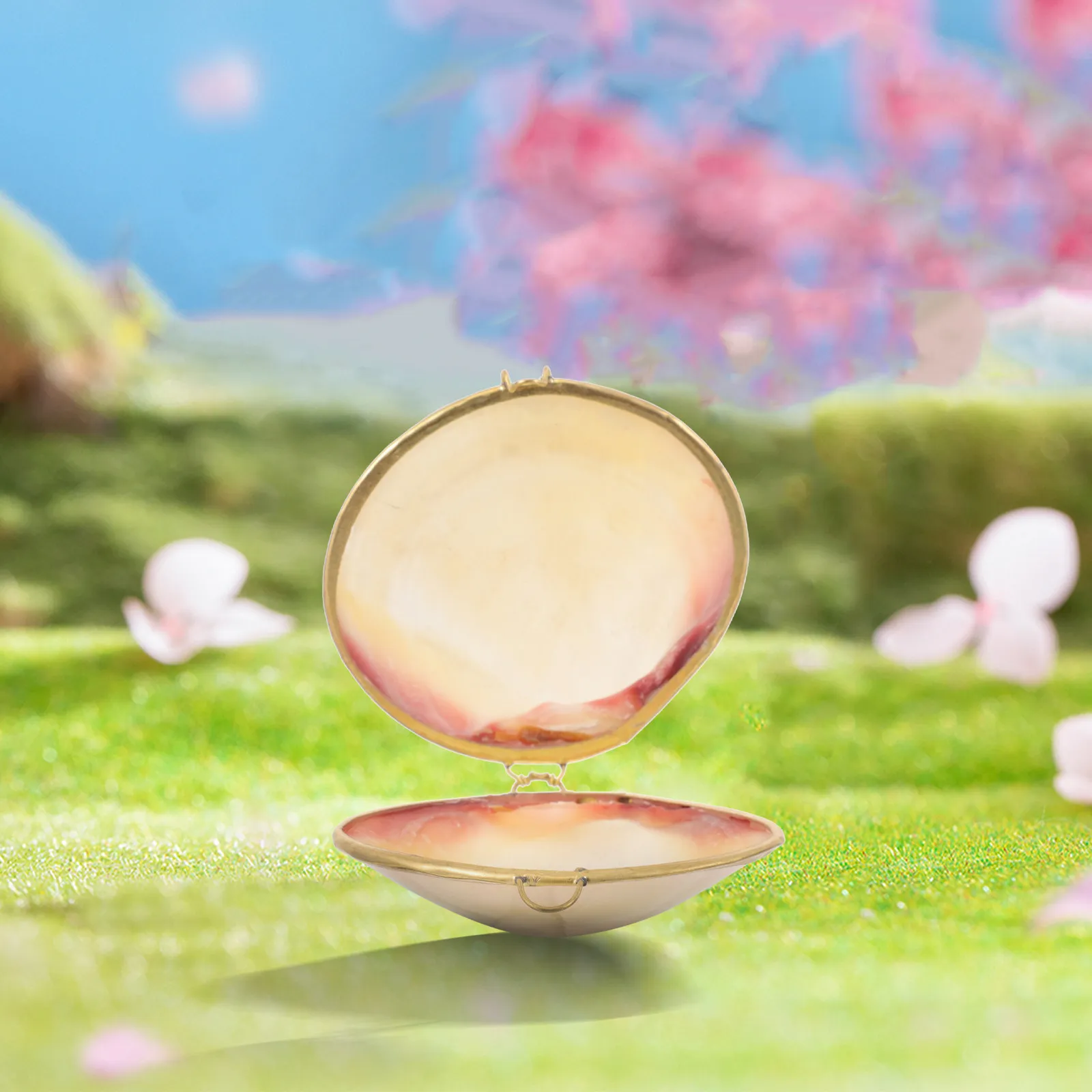 

Seashell Jewelry Box Mini Delicate Trinket Case Small Ring Earring Necklace Storage Display Gift Organizer Small Trinket Box