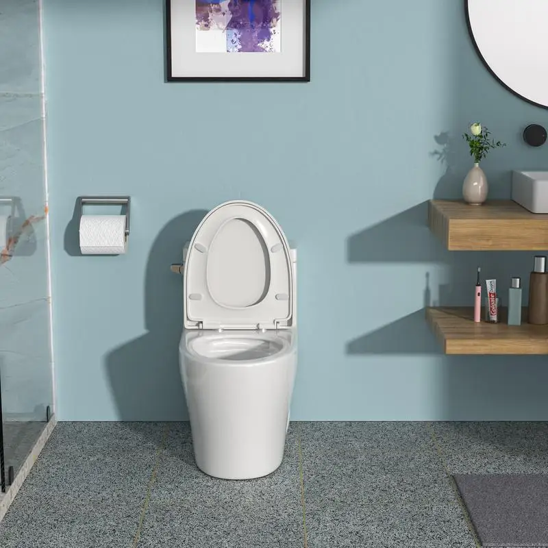 Ceramic One-Piece Toilet, Single Flush, Soft-Close Seat, Compact Design for Small Bathrooms