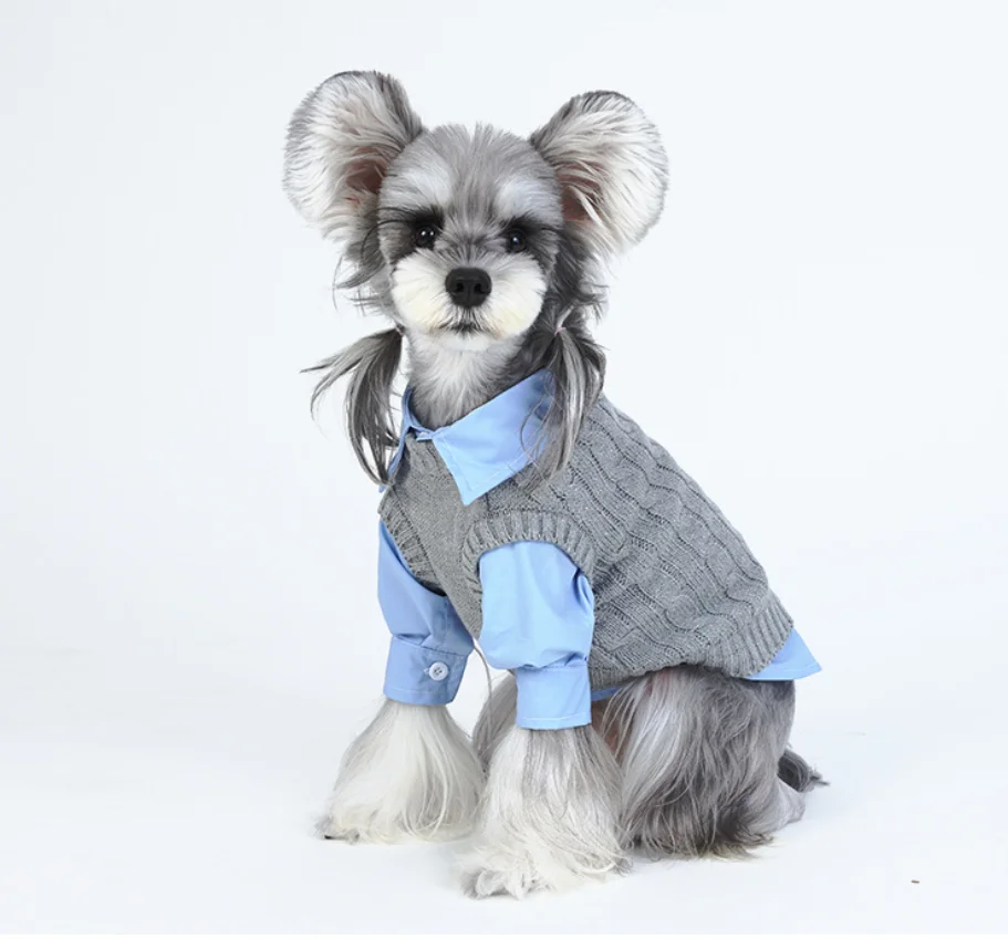 

High-End Elegant Lady-Style Twisted Pet Sweater Brand Style Dog Knitted Sweater