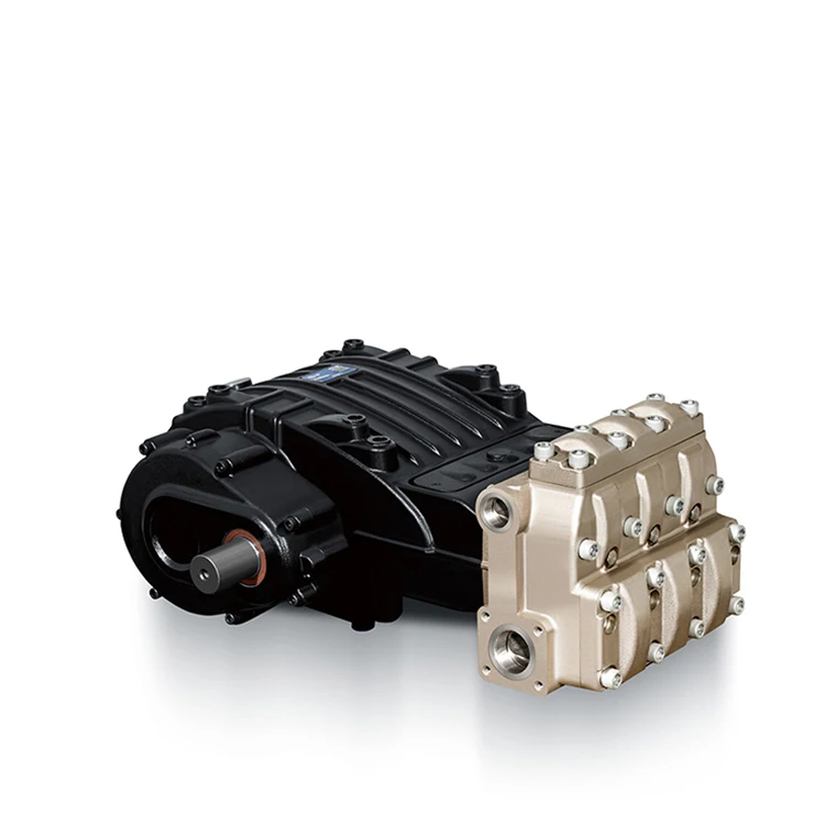 Triplex Plunger Pump For Waste To Energy Facility