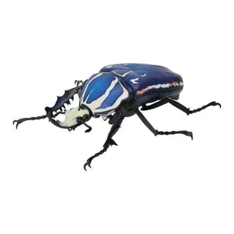 Biology Big Illustrated Simulated Insect Gacha Beetle 06 South Sea Big Bug Uganda Flower Beetle