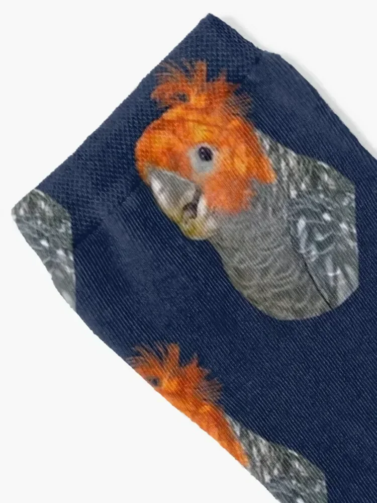 Gang-gang Cockatoo portrait 3 Socks aesthetic compression happy New year's Boy Child Socks Women's