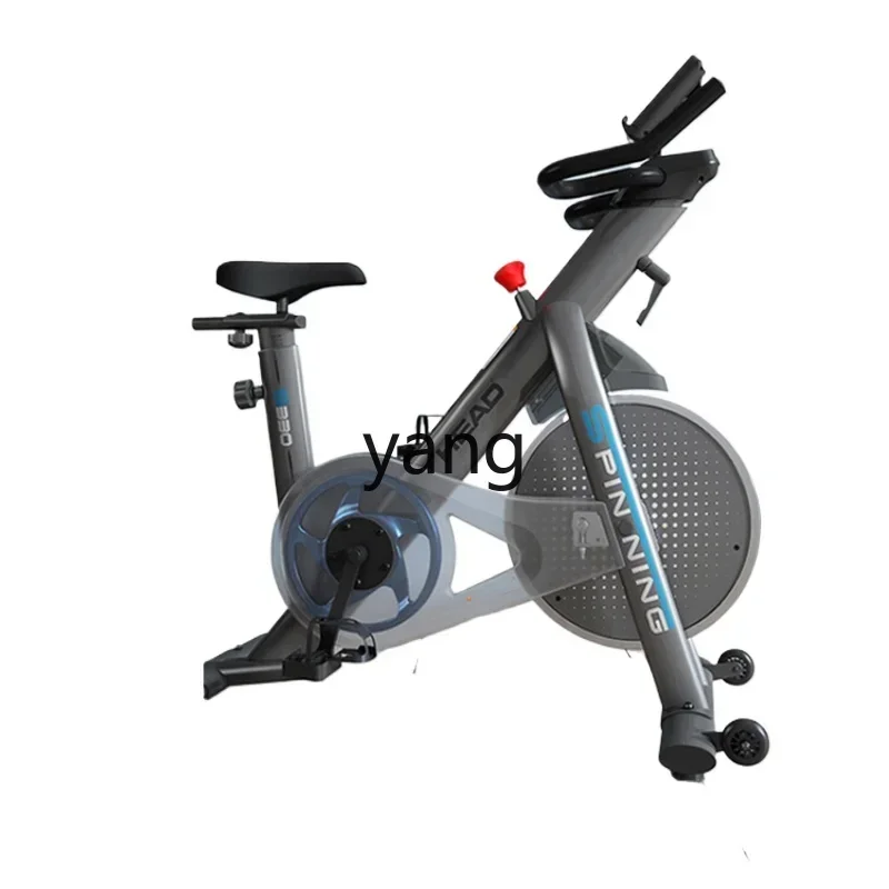 LH Home Gym Spinning Bike, Small Indoor Fitness Equipment Bicycle