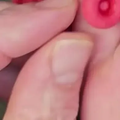 10개 레드 코킹 캡 씰링 캡 (코킹 건 노즐용) 보호 커버 유리 접착제 팁 배럴 접착제 입구 보호 캡