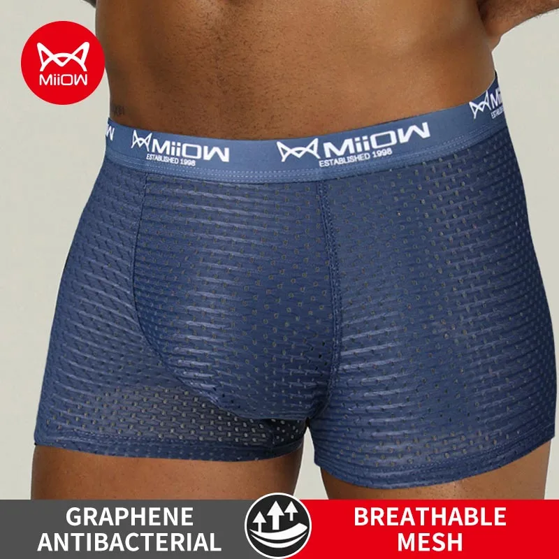 MiiOW Sexy Men Boxer Shorts Underwear Mesh Breathable Ice Silk Male Panties Lingerie Underpants Boxershorts Plus Size L-4XL 2022