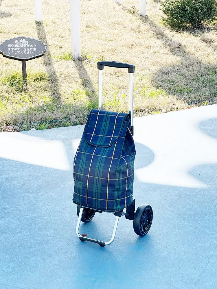 chariot-de-courses-pliable-eamo-super-leger-et-silencieux-en-alliage-d'aluminium-a-pousser-ou-a-tirer-pour-les-courses-et-l'achat-de-legumes