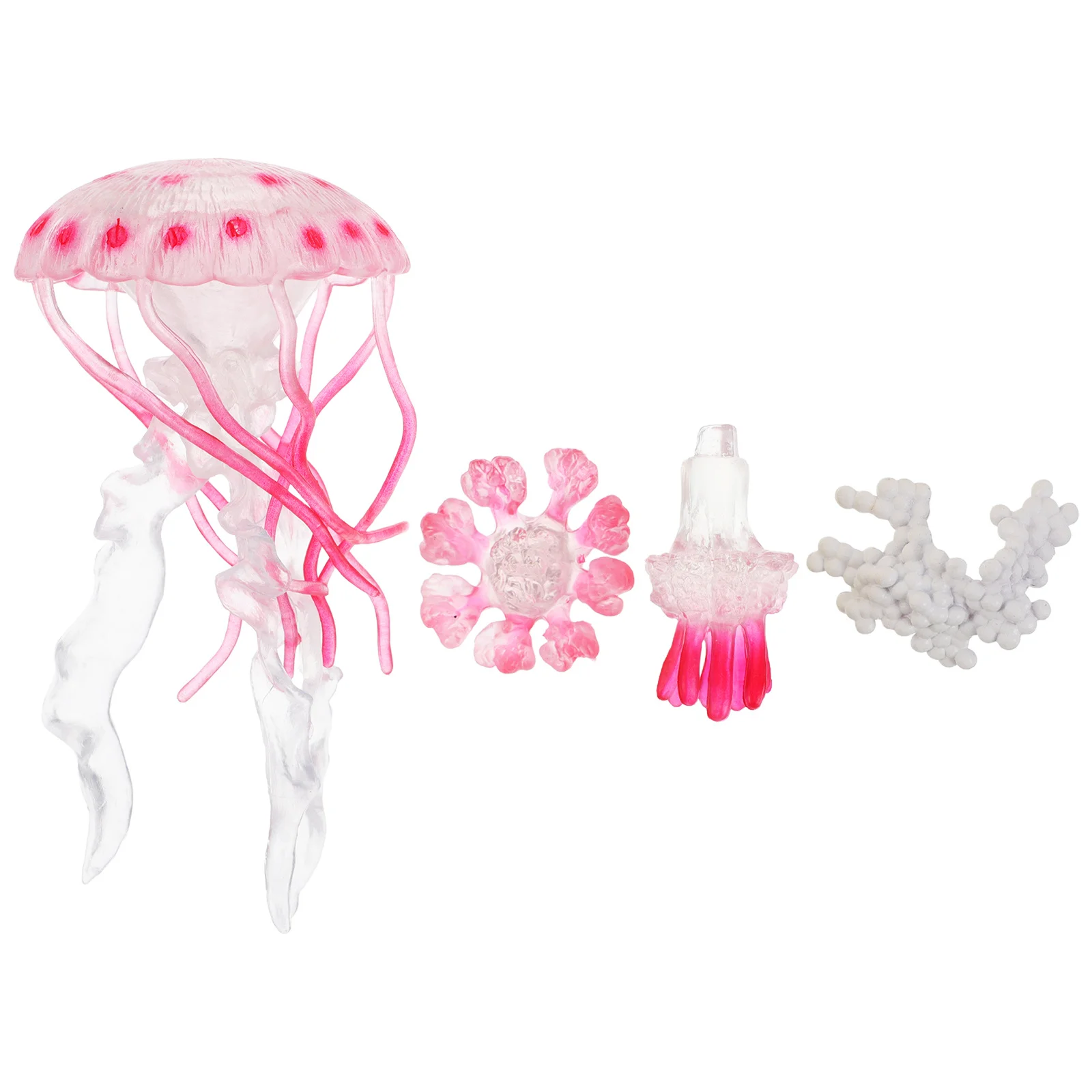 1 set 1 set cyclus peuter voor kinderen onderwijskunde kit plastic zeedieren decor speelgoed dieren figuren handwerk