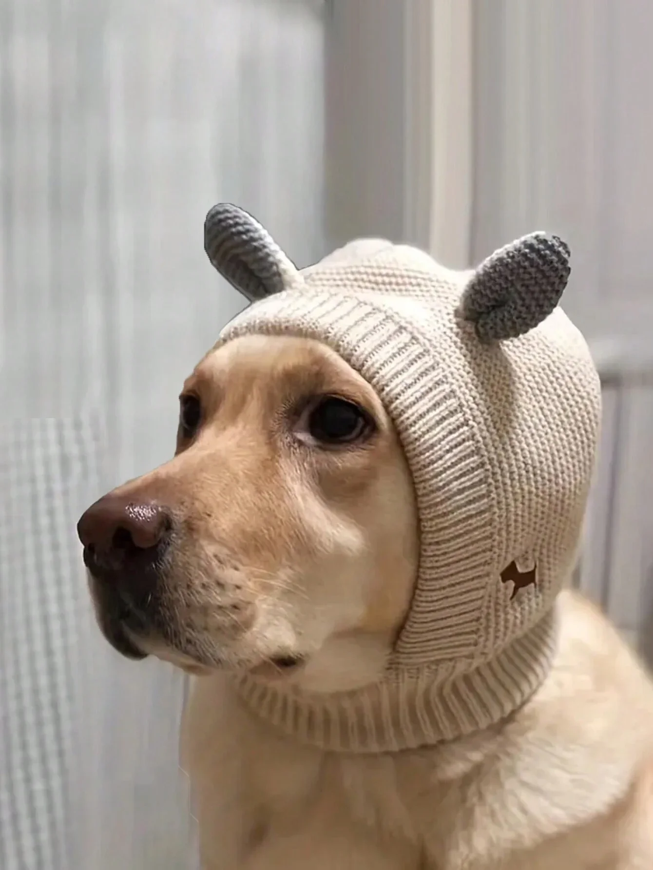 

1PC Single Color Rabbit Ears Shape Warm and Windproof Pet Hat Head Cover for Large Dogs Daily Use