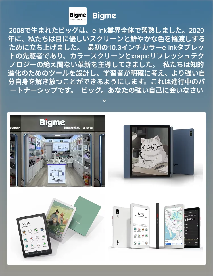 Bigme B251 カラー電子ペーパーディスプレイ Amazon.co.jp: Bigme モニター 電子ペーパーディスプレイ : パソコン