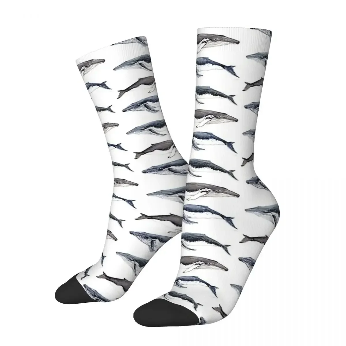 Humpback Whales (Megaptera Novaeangliae) Socks Harajuku Super Soft Stockings All Season Long Socks for Unisex Birthday Present