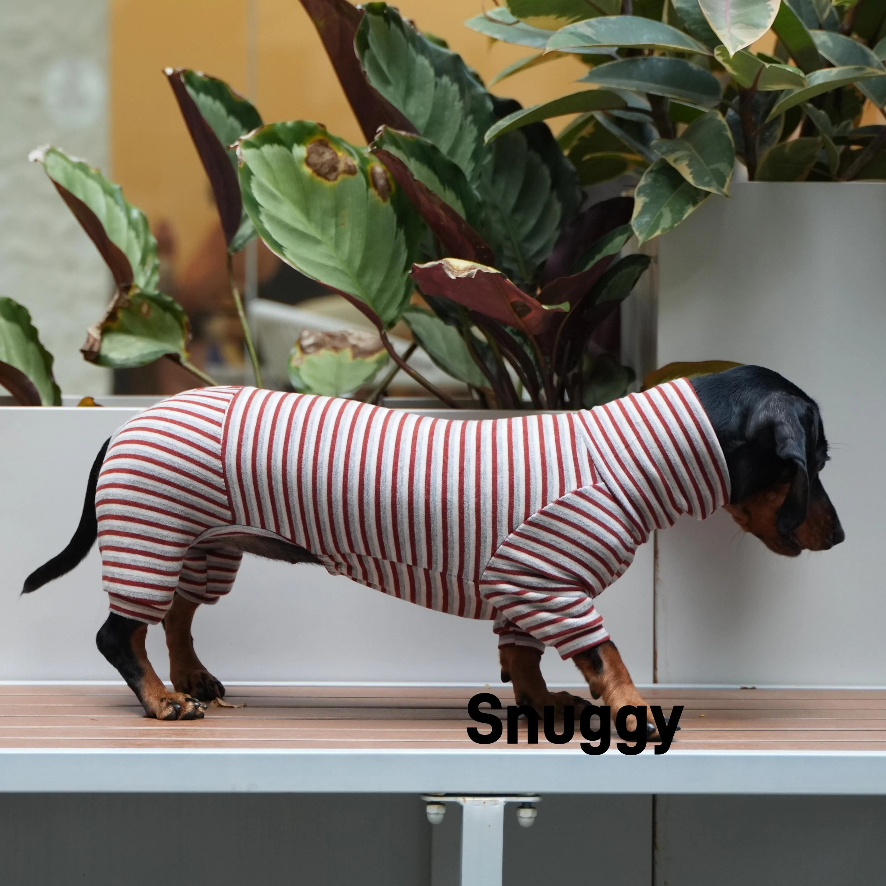 Warm Striped Cashmere for Wiener Dog Clothes Long Sleeves Undershirt for Wiener Dog High-neck Loungewear for Badger Dog