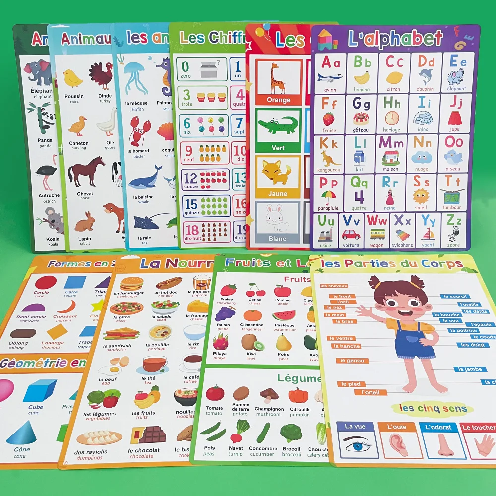 Francese inglese bilingue parole apprendimento A4 poster grafici per bambini asilo aula decorazione insegnante sussidi didattici 10 pezzi