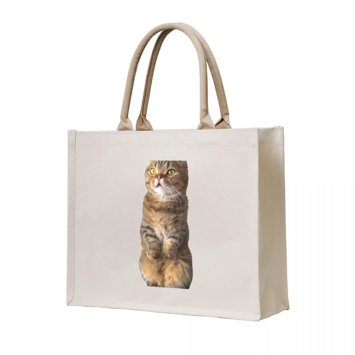 

Cute LuLu standing ( Kittisaurus ) Tote Bag tote bags aesthetic canvas tote bags bag women
