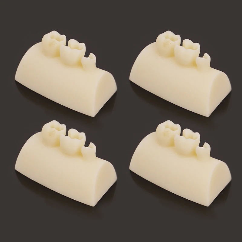 Dental Inlay Exercise Model Block Composite Resin Filling Practice Models Dentistry Oral Teeth Teaching Typodont Study