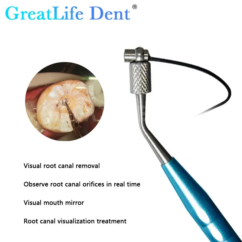 GreatLife-Dent Micro Câmera Dental, Tempo Real, Wi-Fi, Visual Remoção do Canal Raiz, Espelho Boca, Endo Motor, 24 "Tela