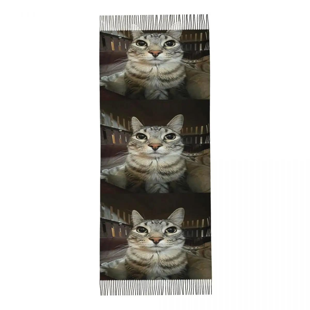 القط يبحث مباشرة إليك وشاح شرابة الأوشحة النساء شالات دافئة ناعمة ويلتف كبير الخريف الشتاء شال التفاف #4