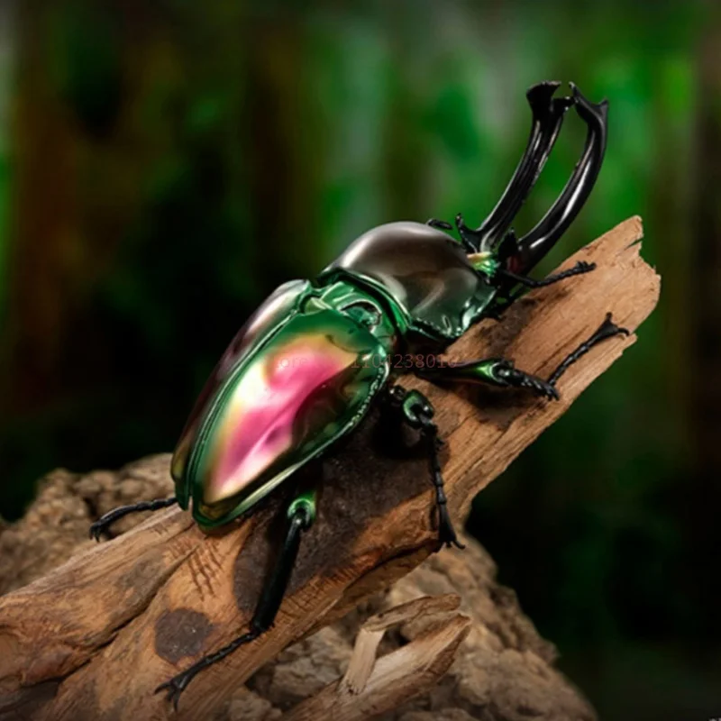 بانداي تشالكوما أطلس القوقاز خنفساء نموذج متحرك لعبة زخرفة الحشرات فائقة الواقعية لهواة الجمع شخصيات الحركة الأصلية #6