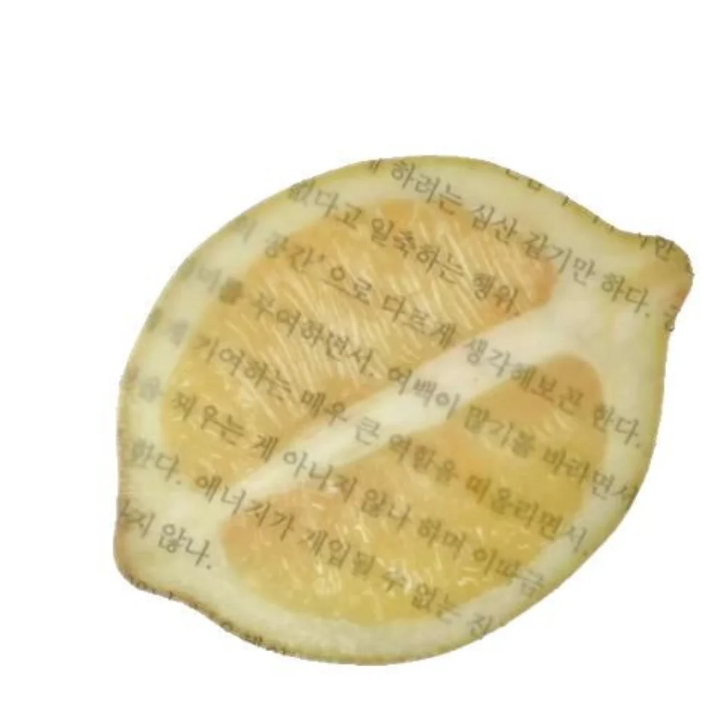 Marque-page créatif en forme de tranche de fruit, design amusant, pomme, pastèque, citron, support de page de lecture, cadeau pour étudiant