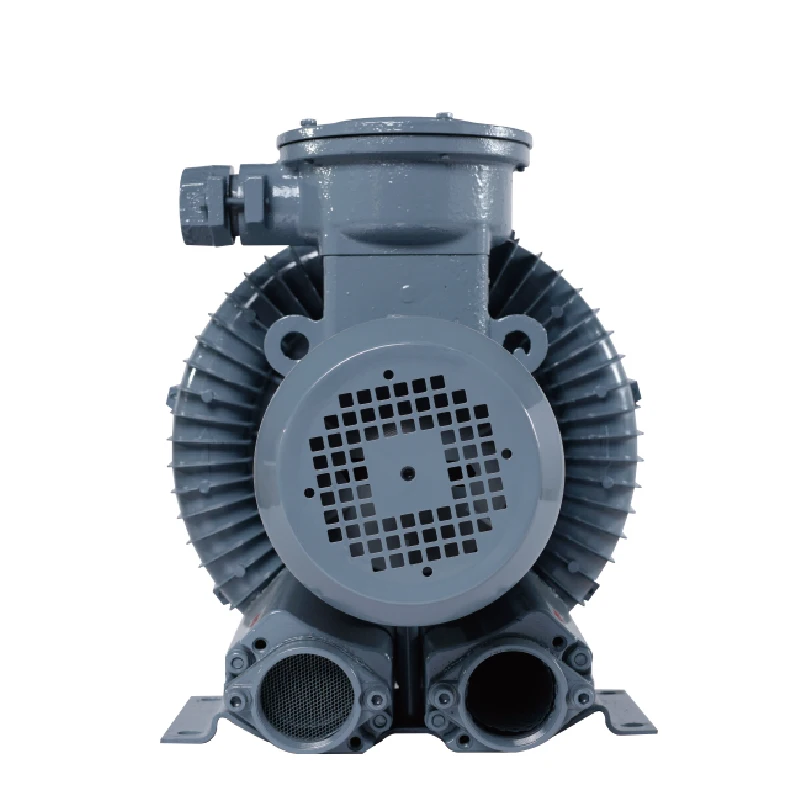 High Pressure Customized 380v/50hz Air Compressor Ring Electric Air Blower for Pneumatic Conveying
