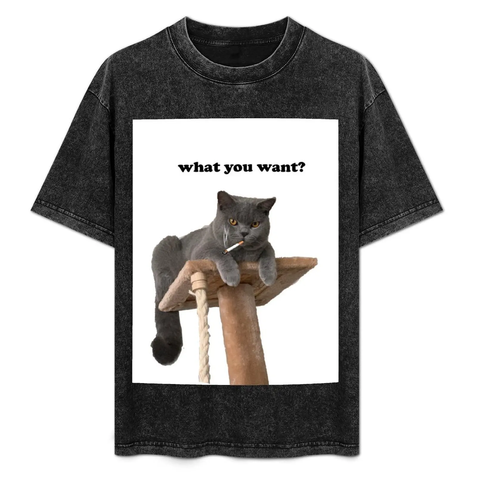 

Smoking cat T-Shirt customs Aesthetic clothing mens t shirt graphic