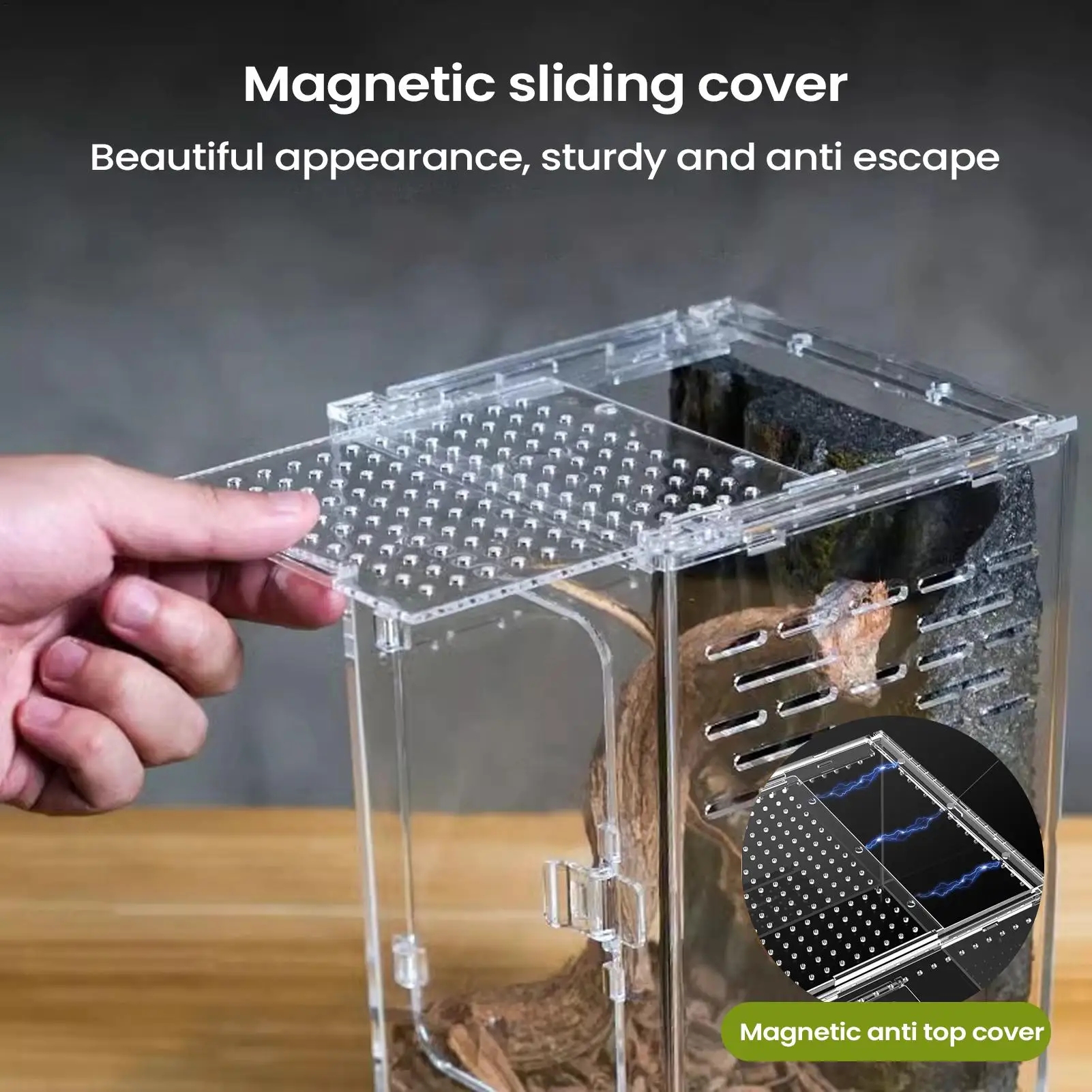 Acrylic Terrarium Habitat Box 2