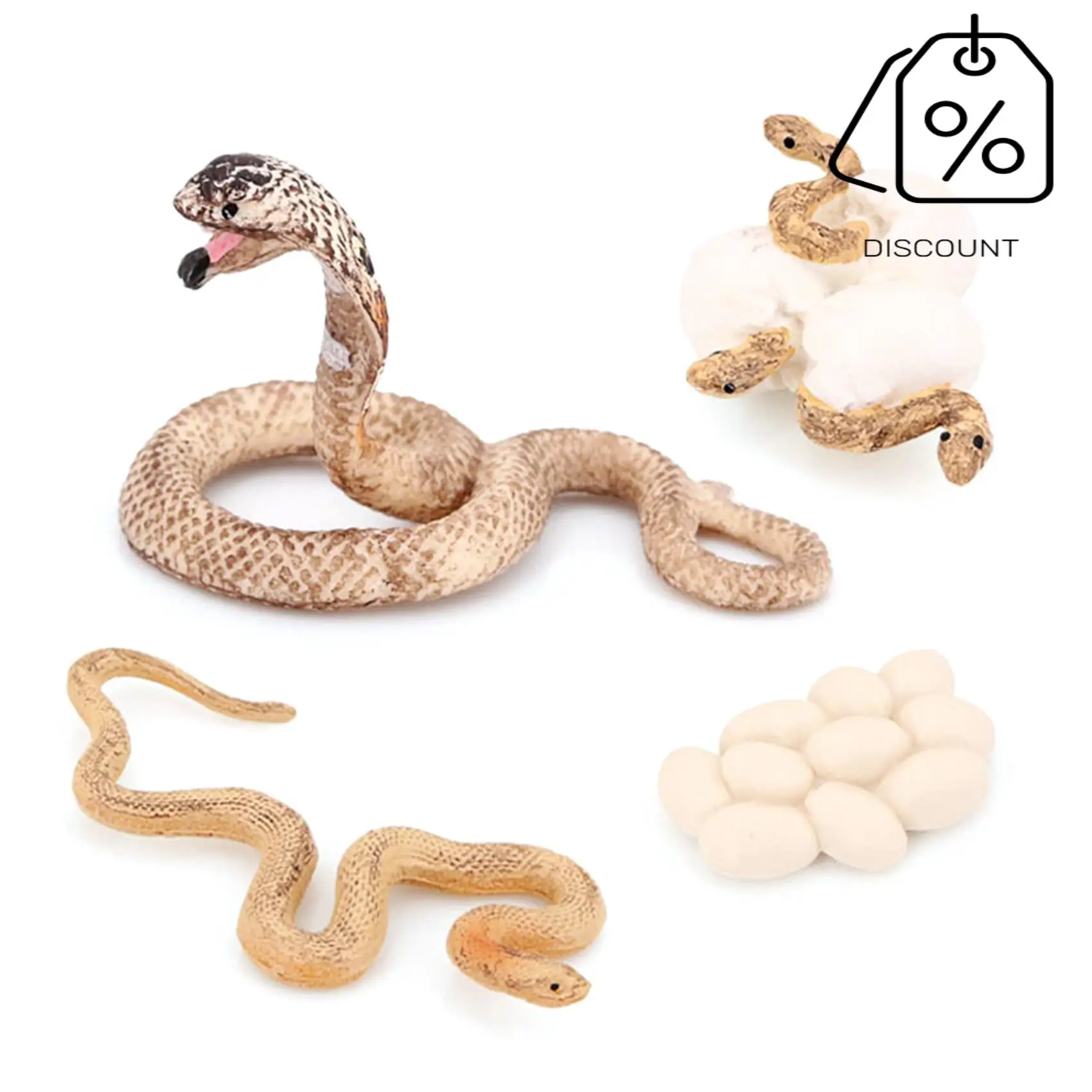 AS96-Realistic Animal Life Growth Cycle Biological Model Toys Snake Growth Cycle Biological Model