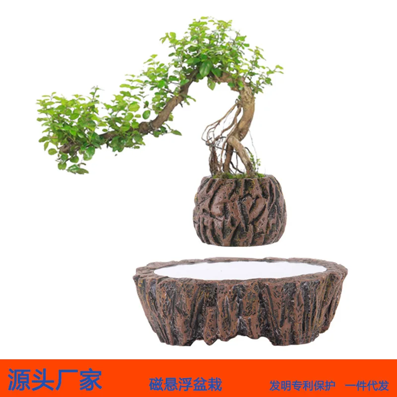 Maglev potted plant home decoration creative ornament opening gift miniature plant bonsai flower pot factory direct sales