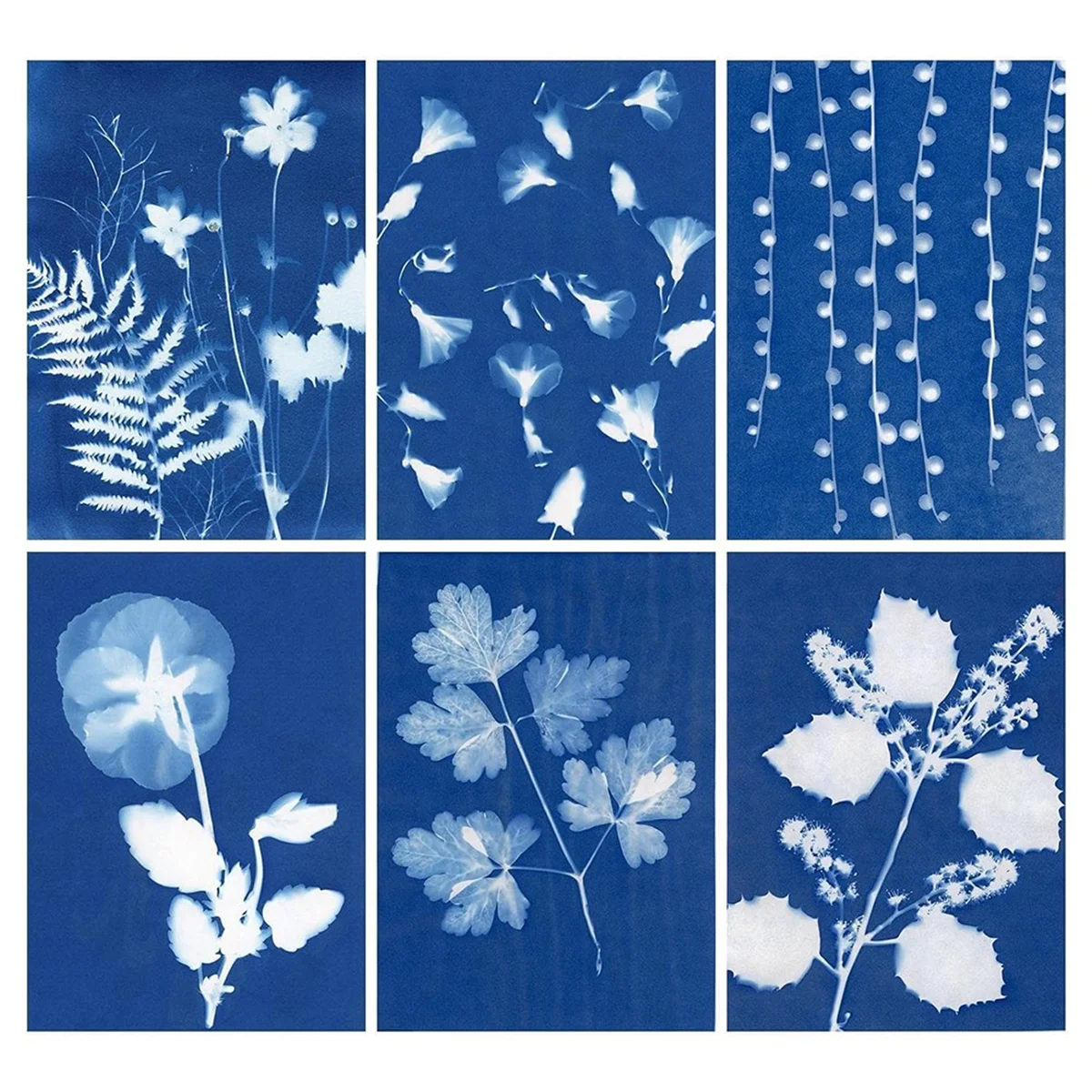 AB06 مجموعة ورق طباعة الشمس مكونة من 60 ورقة من ورق Cyanotype، ورق فني للشمس مقاس A6 مع أداة بلاستيكية واحدة لطباعة الشمس، ورق شمسي