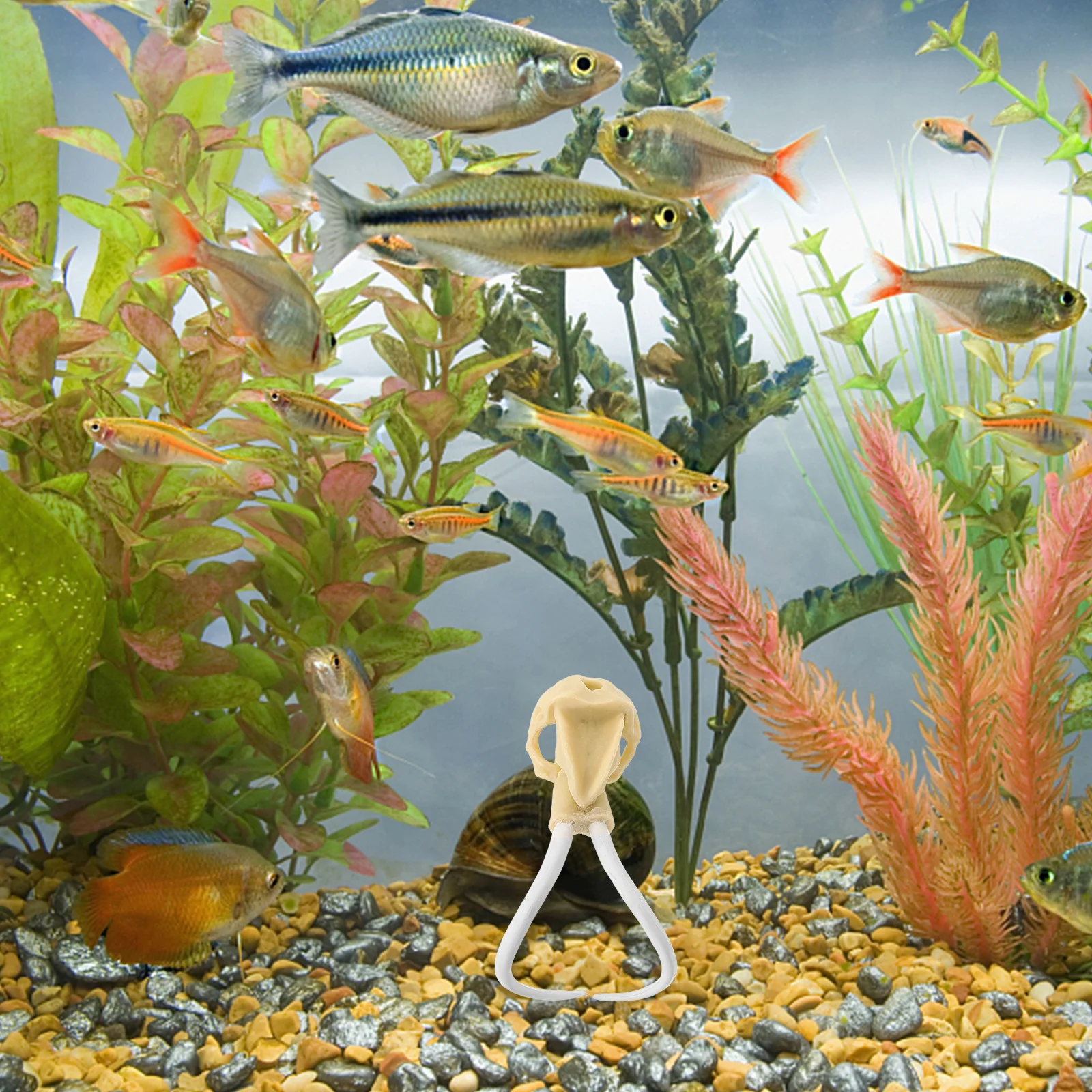 

Skull Adornment Resin Material Lifelike Details Fish Tank Decor Aquarium Underwater Decor Compact Size Safe for Fish
