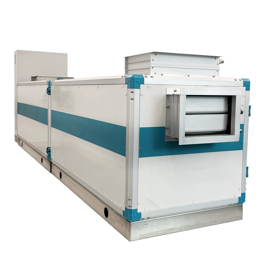 OEM AHU From China Energy Recovery HVAC System for Green Buildings Floor Standing Core Motor Pump Components Heating Cooling