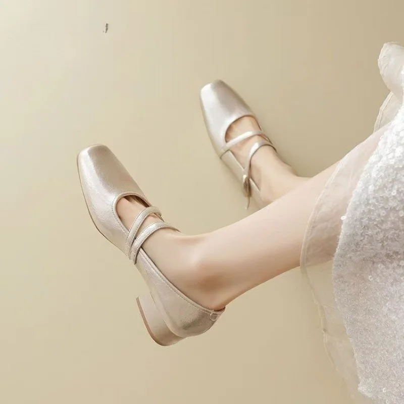 2025 ربيع/خريف جديد النمط الفرنسي الضحلة قطع ماري جينس-مشبك معدني كعب مكتنز مضخات ، فستان الجنية الأساسية مطابقة الأحذية #3