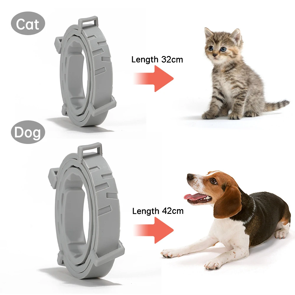 Anti Flea Tick Collar For Cat Small Dog Adjustable Puppy Kitten Collar Antiparasitic 8Month Protection Breakaway Pet Accessories