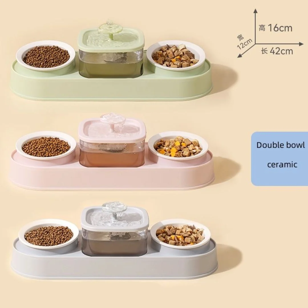 Cat Food Bowls and Water Feeder with Automatic Water Dispenser Double Dog Cat Bowls Detachable Pet Feeder