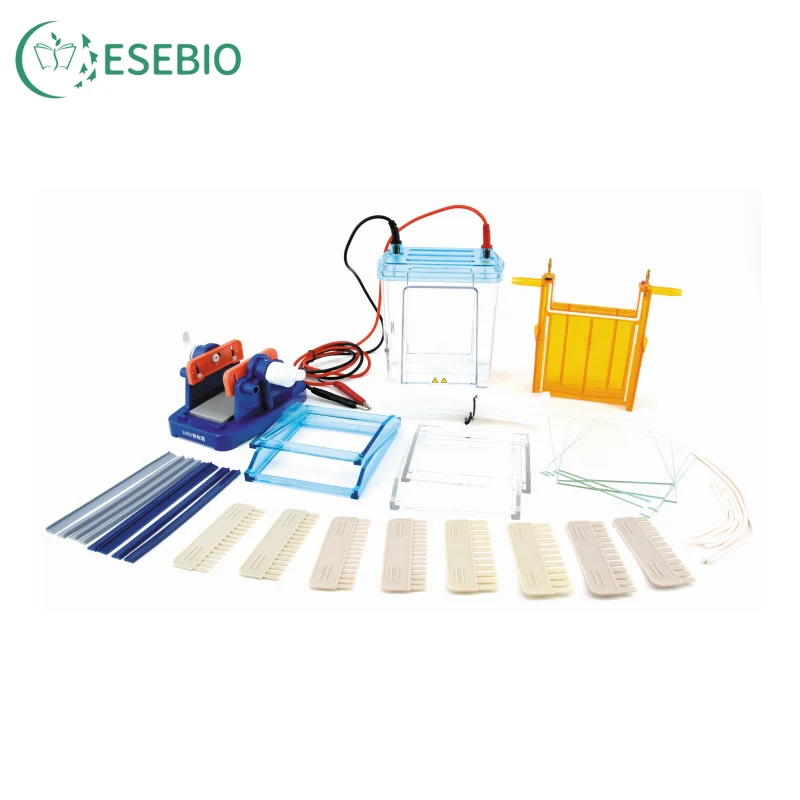 Cellule de MüntrophorOutre pour PCR, 10000 Pièces