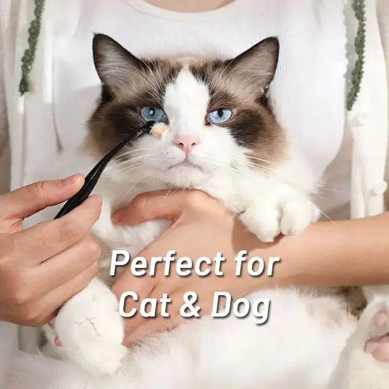 1-10PCS Dog Cat Tear Stain Remover Brush Soft Bristle Eye Cleaning Tool with Powder Applicator for Pet Grooming Hygiene Care