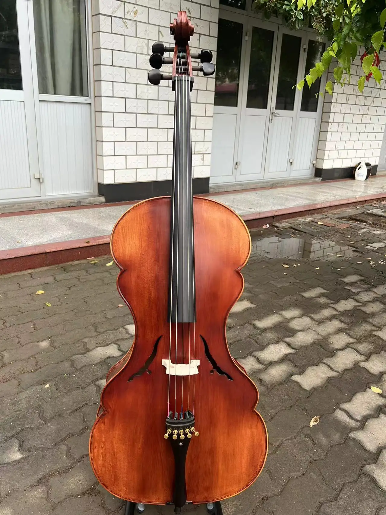 Professional 5 String Cello 4/4 Baroque Style Solid Wood Rich Deep Tone Professional String Instrument