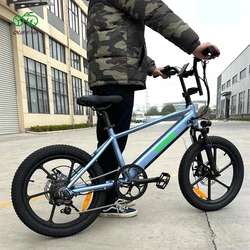 QUEENE Cycle Dirt Mtb Foldable Bicycle Ebike 750W 20 Inch Full Suspension Fat Tire Folding Electric Mountain Bike For Teenagers