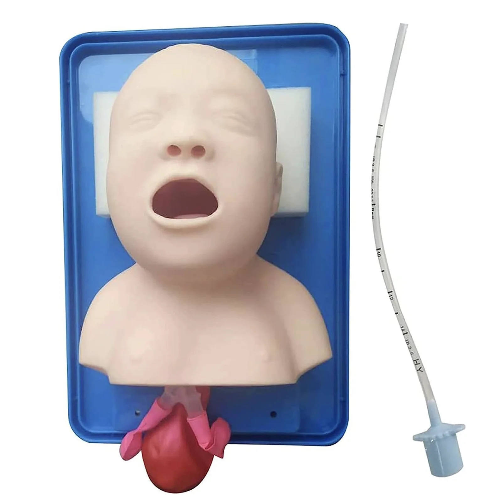 

Advanced Pediatric Endotracheal Intubation Model Airway Trainer Human Model