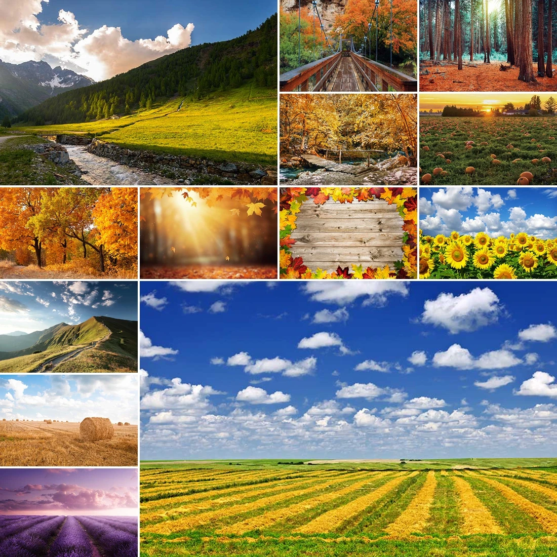 

MOON.QG Autumn Leaves Backdrops Fields Woods Flowers Photo Background Party Photobooth Portrait Harvest Decoration Photography