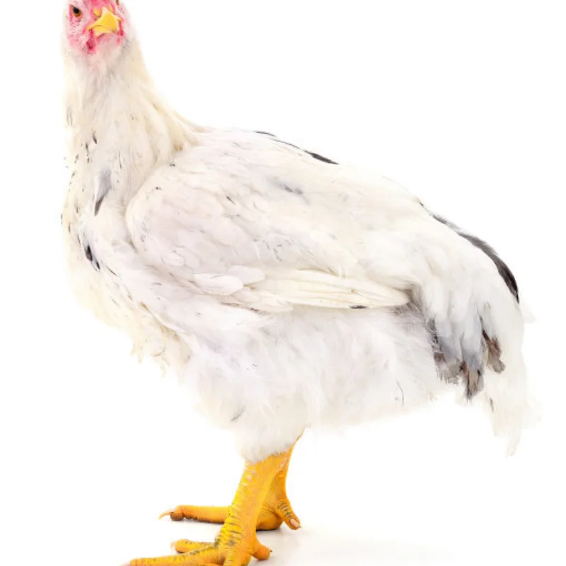 

1/10 RC On-road Drift Car Ступицы колес из сплава Металлические колесные диски Ttires для 1:10 RC Car HSP 94122 Tamiya XV01 TT02 HPI Ky