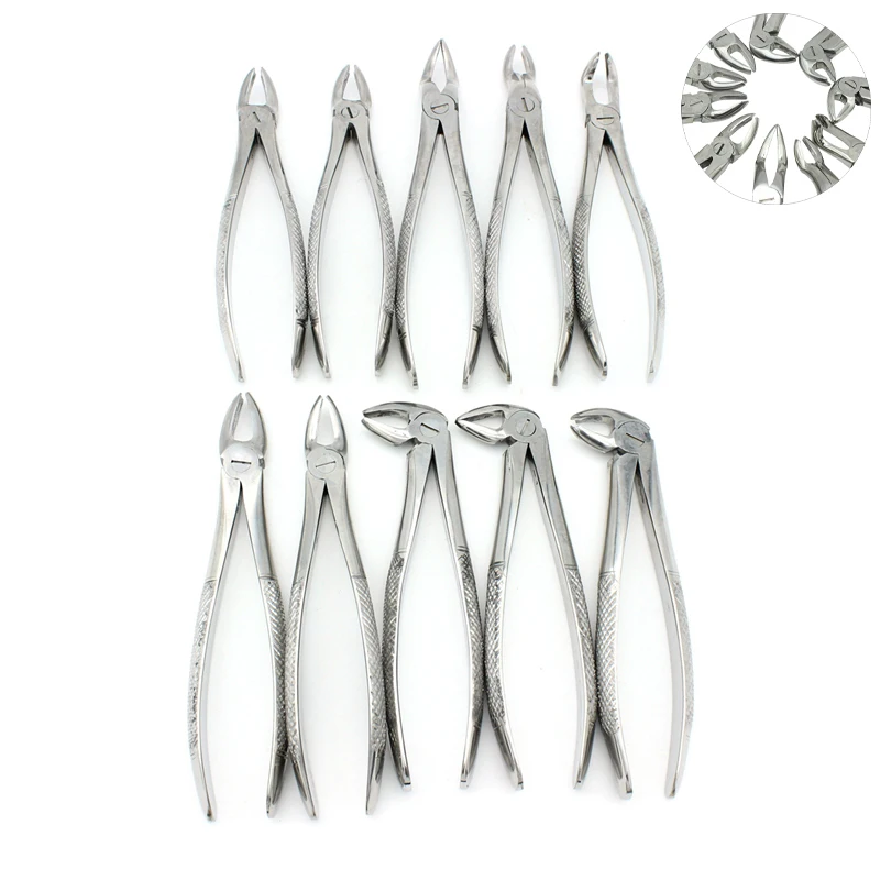 Autoclave 10Pcs/Set Dental Adult Tooth Extracting Forceps Pliers for Adults with Toolkits Dental Surgical Extraction Tools