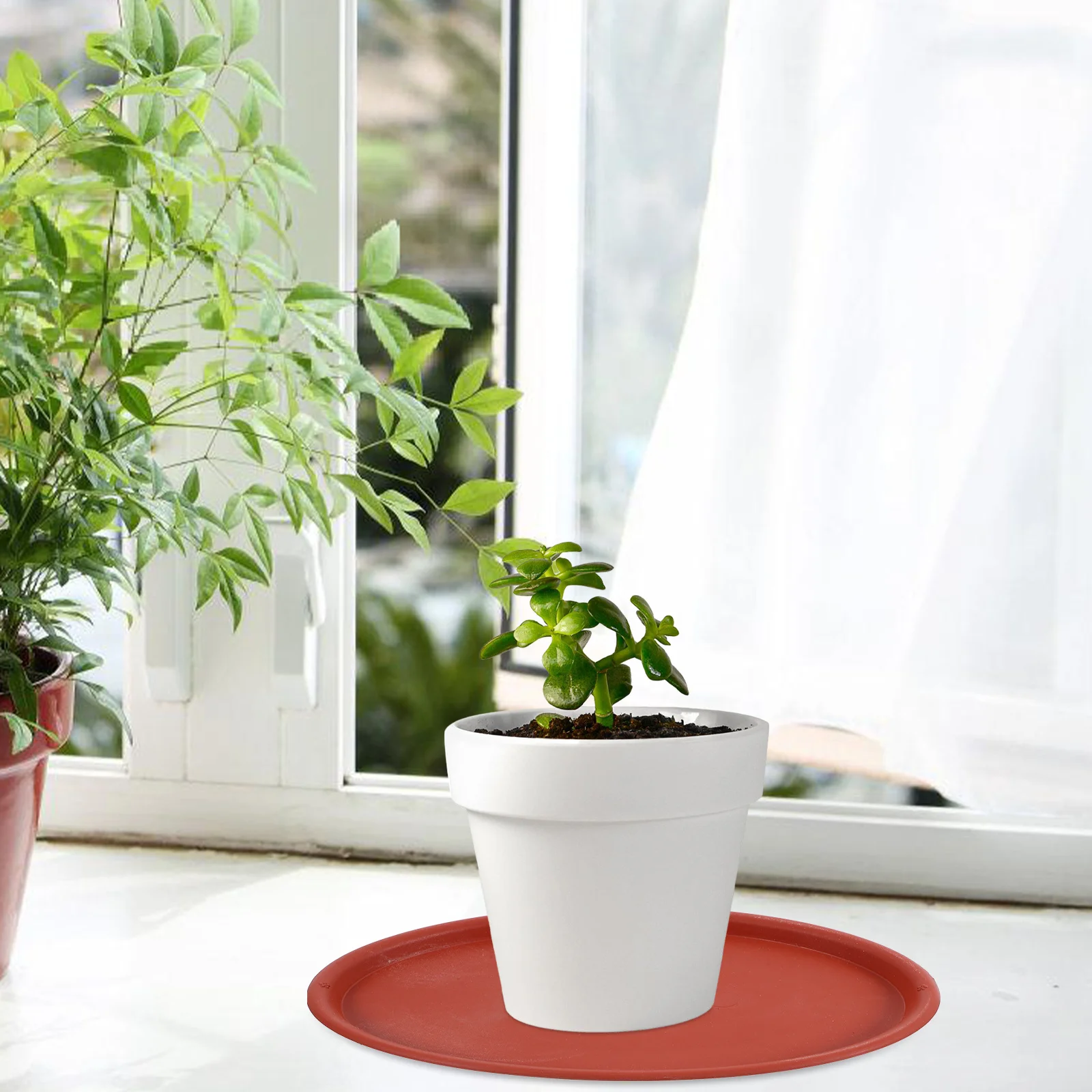 

10Pcs Oval Plant Tray Plastic Flower Pot Saucer Waterproof Drainage Tray for Home Garden Potted Plants Dustproof Surface