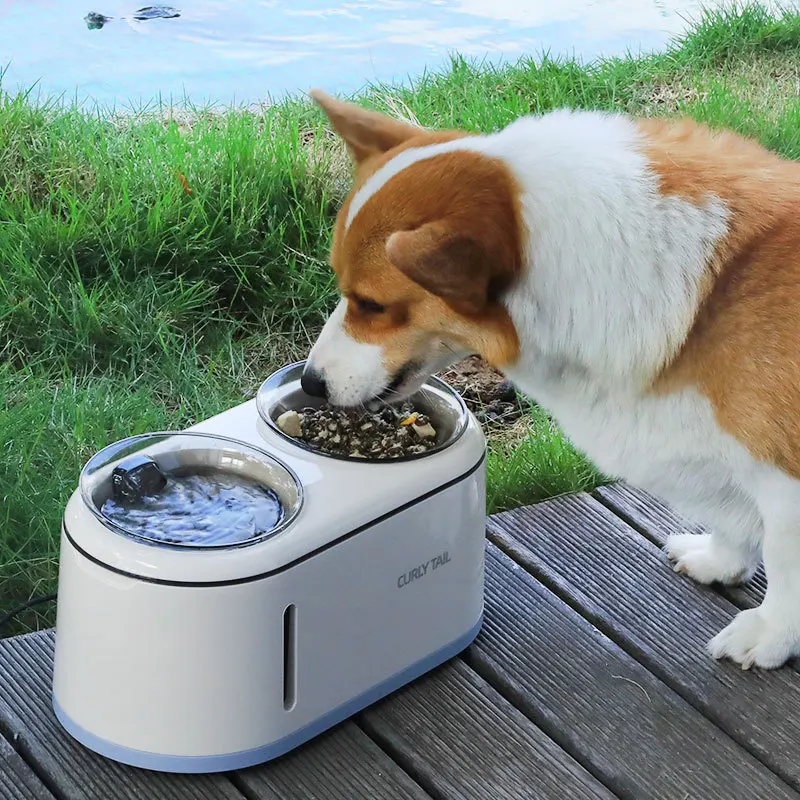 Pet Eater Cat Automatic Feeder Water Dispenser Large Capacity