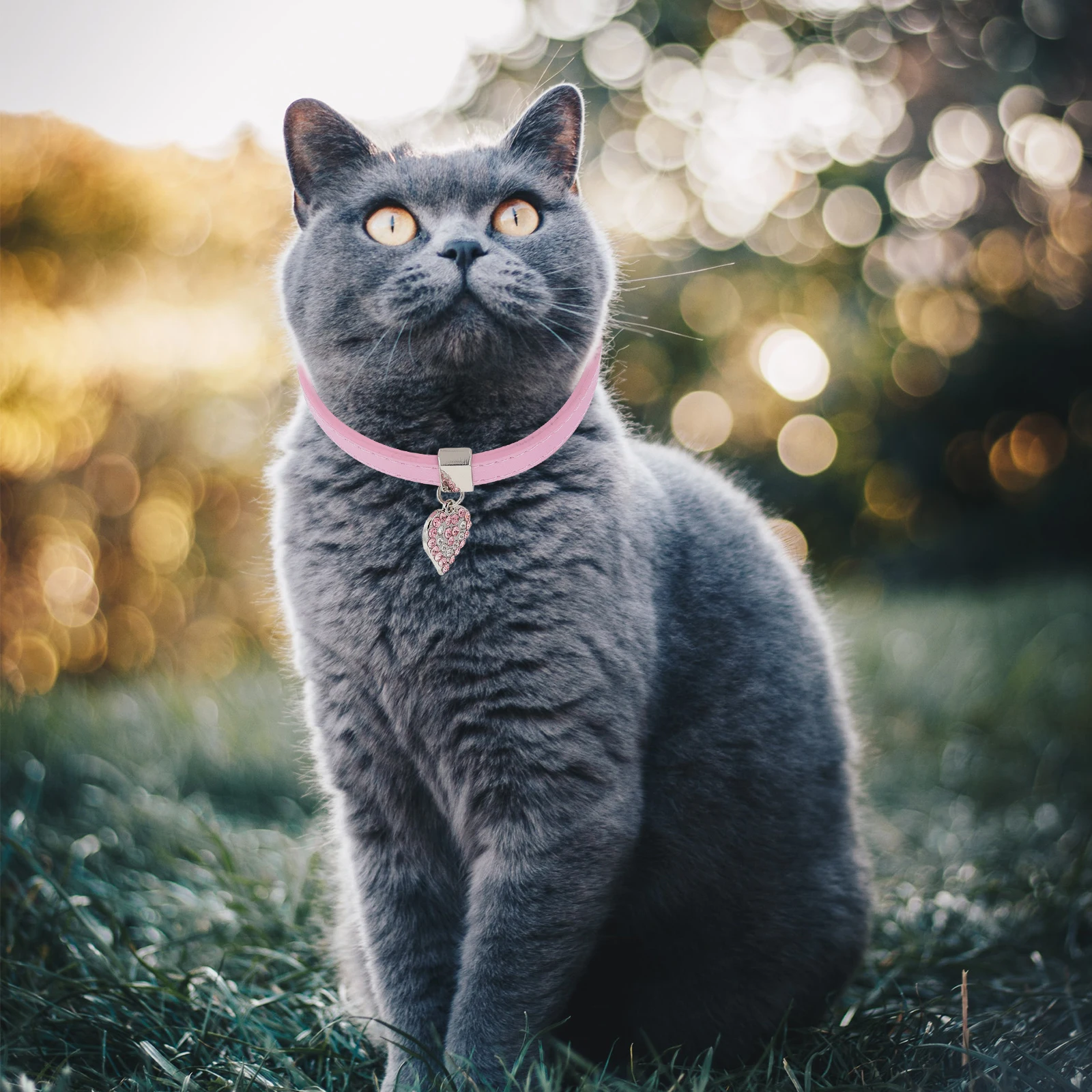 

2Pcs Dog Collar Lightweight Adjustable PU Chain Pet Neck Decor Christmas Party Supplies Small Leash Accessories