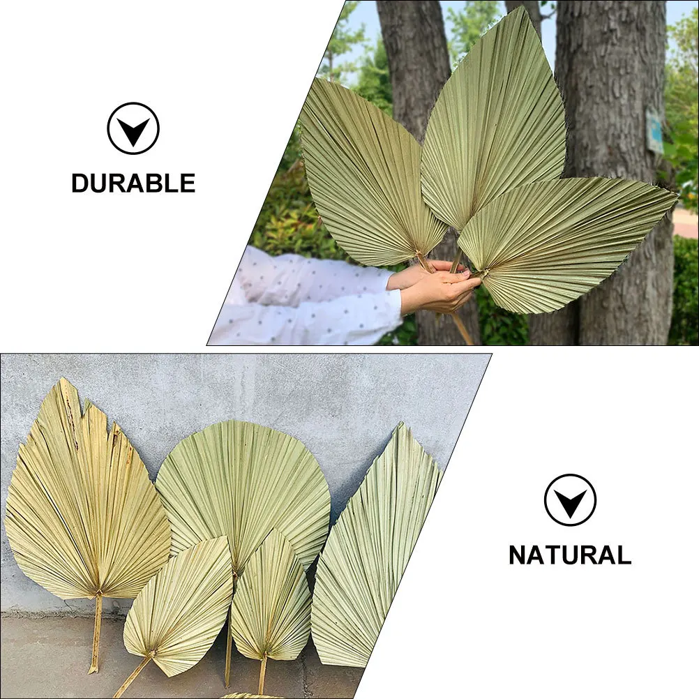 1 szt. Suszony liść palmy naturalny dekor świeży kolor lekki salon sypialnia motyw hawajski aktywności suszony liść palmy