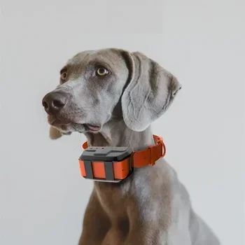 

TTT Wholesale Realtime Location Remote Waterproof Tracking Device Collar Pet Product Tracker GPS for Dog