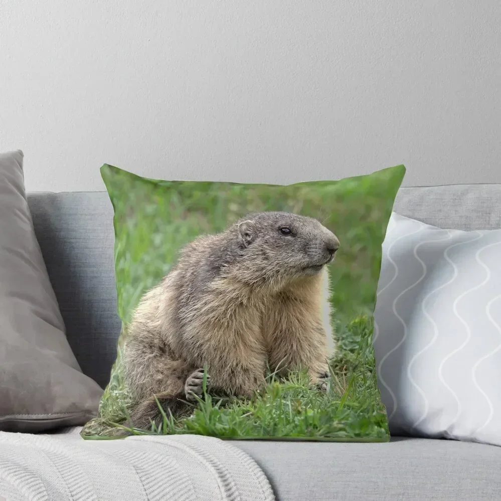 

r5/ Finition 2024 : Marmotte de 3-4 face - Photo de André Hte Throw Pillow Decorative Cushions For Living Room New year pillow