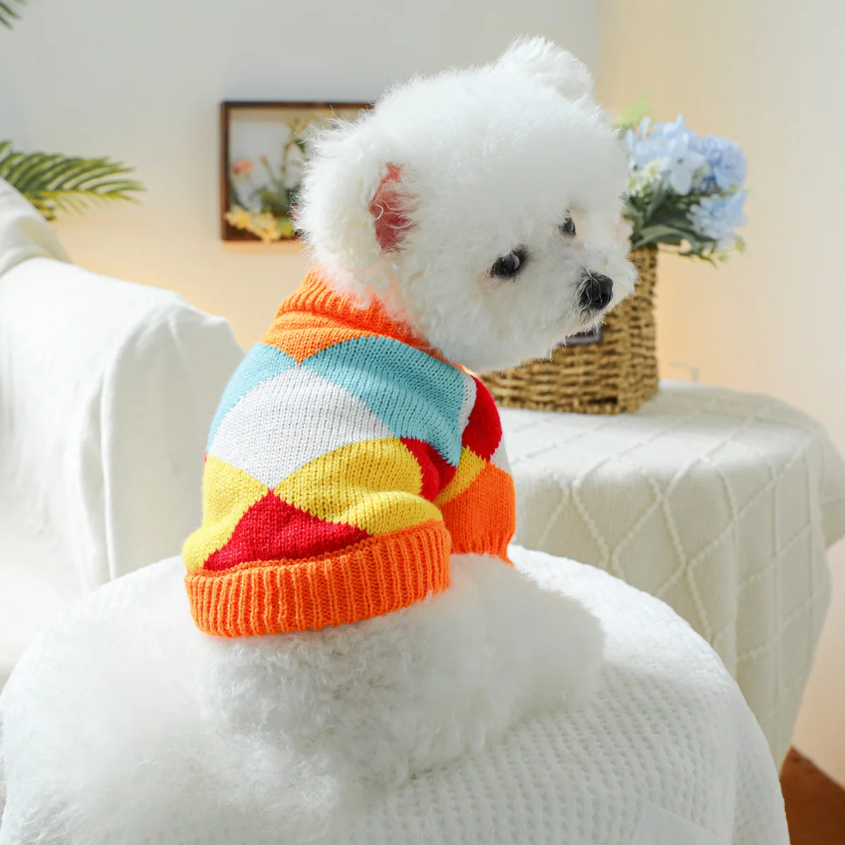 1PC pet clothing Dog Spring and Autumn Counter -Elastic Rainbow Shooting Sweat is suitable for small and medium -sized dogs