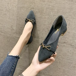 Comfortable Low Heel Ladies Work Shoes 2024 Summer Fashion Pointed Toe Women's Pumps Simple and Versatile Shallow Mouth Shoes